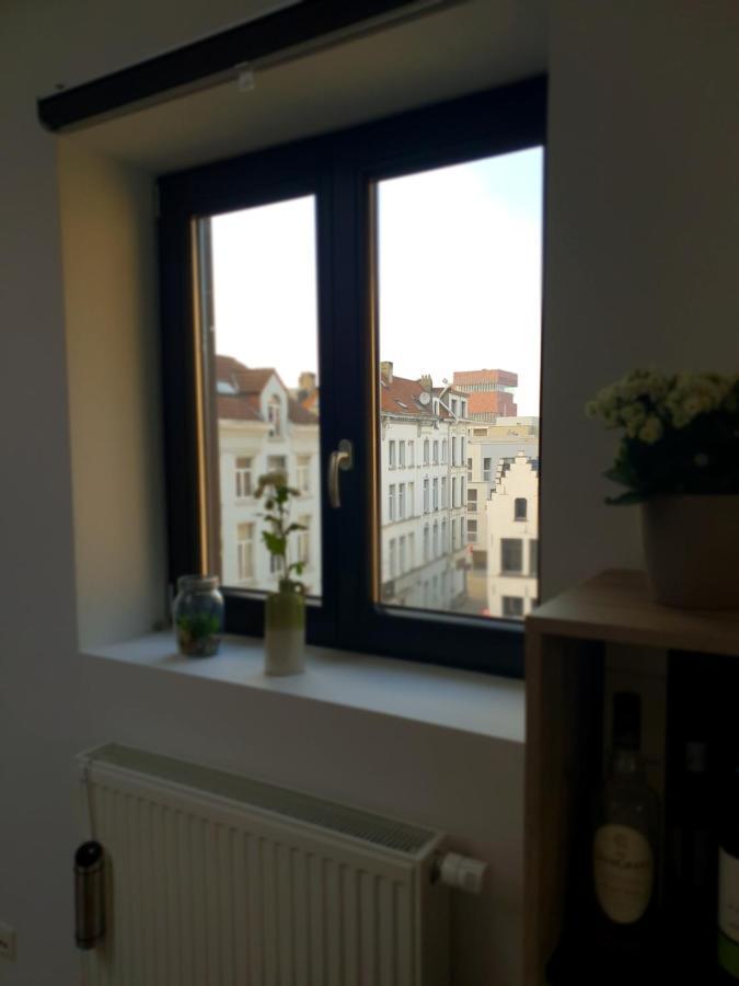Uitzicht Op Het Mas Antuérpia Exterior foto